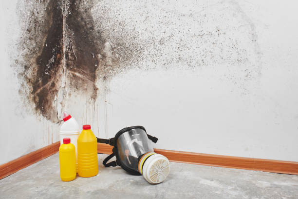 Best Attic Mold Removal  in Oliver, PA