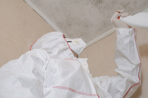 Best Mold Cleaning Services  in Oliver, PA