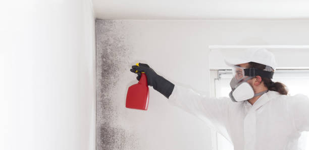 Best Commercial Mold Removal  in Oliver, PA