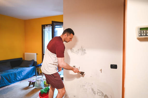 Best Professional Mold Removal  in Oliver, PA